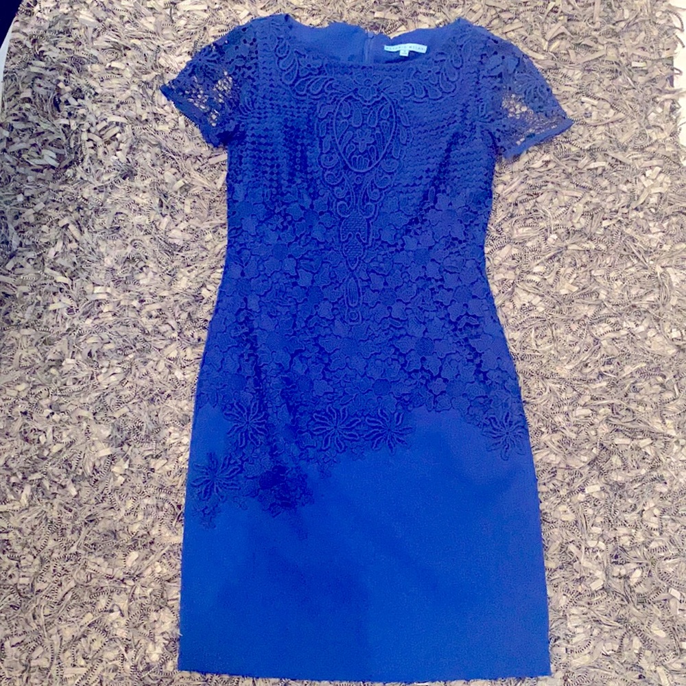 Blue Antonio Melani Dress size 2